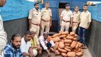 पुलिस को देखते ही ट्रक ने लिया यू-टर्न, फिर खुला 134 किलो गांजे का राज; फॉरच्यूनर समेत 4 तस्कर धराए