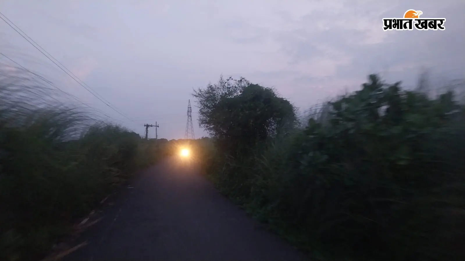 टाल क्षेत्र की लाइफलाइन सड़क बदहाल, गिरे पेड़ों और झाड़ियों से घटकर आधी रह गई चौड़ाई; हादसों का बना खतरा