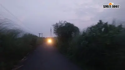 टाल क्षेत्र की लाइफलाइन सड़क बदहाल, गिरे पेड़ों और झाड़ियों से घटकर आधी रह गई चौड़ाई; हादसों का बना खतरा