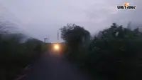 टाल क्षेत्र की लाइफलाइन सड़क बदहाल, गिरे पेड़ों और झाड़ियों से घटकर आधी रह गई चौड़ाई; हादसों का बना खतरा