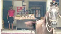 घोड़े के जरिए हो रही थी शराब की तस्करी, पुलिस ने घोड़े के साथ तस्कर को दबोचा