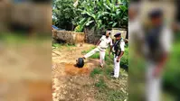 सिमडेगा में अवैध शराब के खिलाफ पुलिस की कार्रवाई, 308 किलो जावा महुआ और 13 लीटर महुआ शराब नष्ट