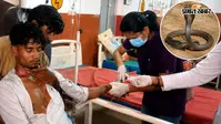 भाई ने मारे 150 थप्पड़, 15 एंटी-वेनम से बची जान, सांप के डसते ही बिगड़ी थी 21 साल के अरुण की हालत