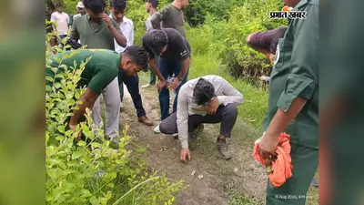 24 घंटे बाद भी पकड़ से दूर है जानलेवा बाघ, 1 महीने में 3 मौतों से सहमा वाल्मीकिनगर