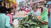 सोमवारी के खास संयोग में नागपंचमी: जानिए पूजन का शुभ मुहूर्त और धार्मिक महत्व, लावा-कटहल पत्ता की जमकर हुई बिक्री