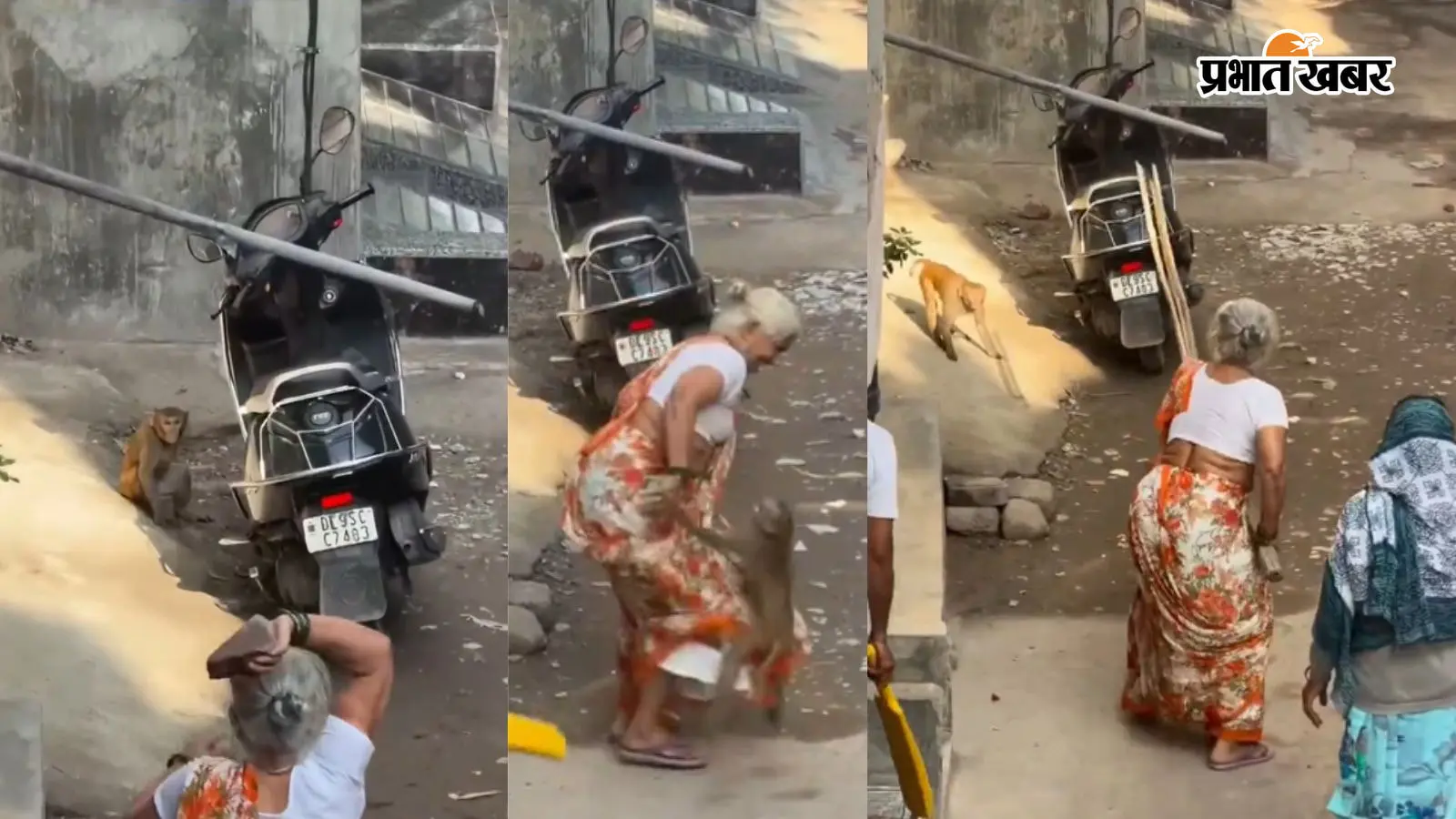 Viral Video: दादी और बंदर के बीच महामुकाबला, वीडियो देख हंसी नहीं रोक पाएंगे