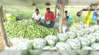 नौकरी छोड़ दो भाइयों ने थामी खेती की राह, अब लाखों की कमाई की उम्मीद, जानें उनकी कहानी