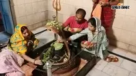 सूर्यगढ़ा: तीसरी सोमवारी पर गौरी शंकर धाम में उमड़ा शिवभक्तों का जनसैलाब, 'हर-हर महादेव' से गूंजा इलाका