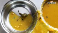 नवोदय विद्यालय के खाने में मिला मरा मेंढक, थाली छोड़कर भागे बच्चे, जानें पूरा मामला