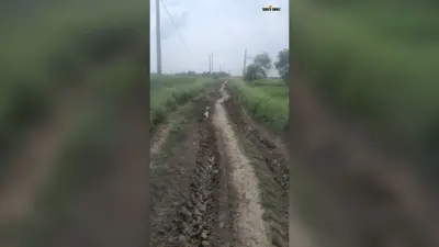 कैमूर: पिपरी पुलिया से कुड़ारी स्कूल तक 3 किमी सड़क निर्माण की मांग, 20 अगस्त से आमरण अनशन की चेतावनी