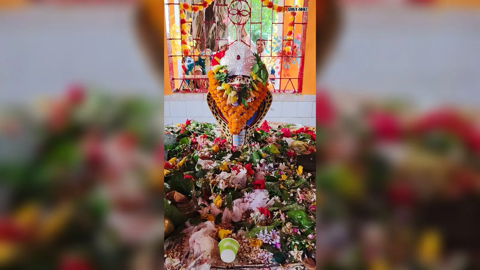रोहतास के बक्स बाबा मंदिरों में उमड़ी भीड़, नागपंचमी को लेकर मंदिरों के आसपास मेले का भी आयोजन