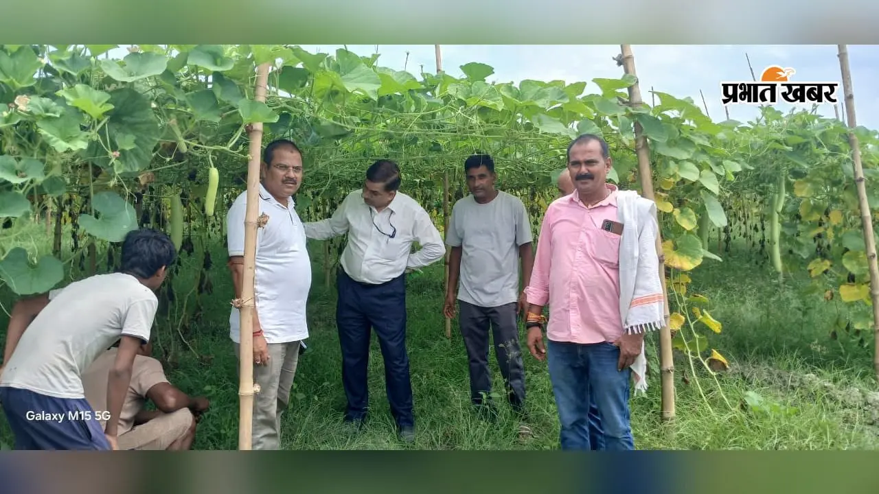 किसानों के खेत बने प्रयोगशाला, वैज्ञानिकों ने देखी आधुनिक खेती की तकनीक और तैयार किए सुझाव