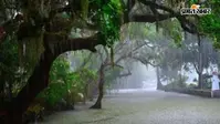 UP Weather Today: यूपी में 18 अगस्त को कैसा रहेगा मौसम?  लखनऊ समेत इन जिलों में भारी बारिश की संभावना, IMD का Rain Alert