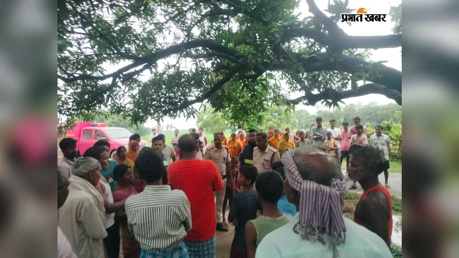 एक चिंगारी ने मचा दी तबाही, भैंस समेत चार पशु आग में जलकर मरे