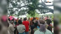 एक चिंगारी ने मचा दी तबाही, भैंस समेत चार पशु आग में जलकर मरे