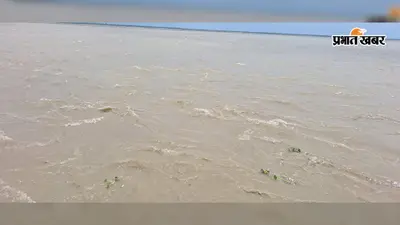 उफान पर कोसी और गंगा! टापू बने कुरसेला के दियारा गांव, फसलें तबाह और पशुचारे का संकट गहराया