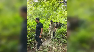 तीन दिन बाद भी नहीं पकड़ा गया किसान की जान लेने वाला बाघ, अब पिंजरा लगाकर तलाश तेज