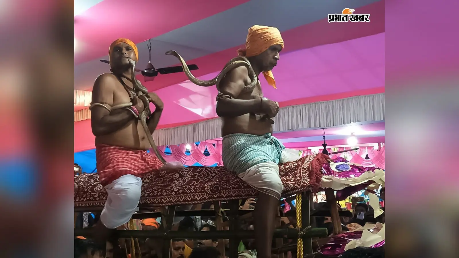 इस गांव के हर घर में होती है मां मनसा की पूजा, आज नागों को स्नान करा पूजेंगे ग्रामीण