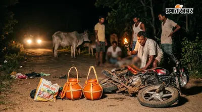 कांड्रा के पास सड़क हादसा, मवेशियों से टकराई बाइक; दो कांवरियां गंभीर