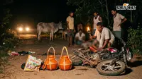 कांड्रा के पास सड़क हादसा, मवेशियों से टकराई बाइक; दो कांवरियां गंभीर