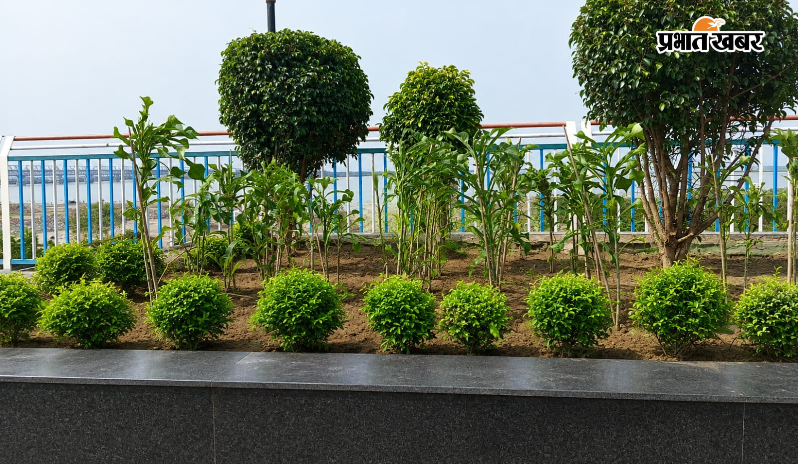 JP Ganga Patha Plantation Smartcity | Prabhat Khabar Network