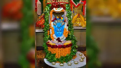 PHOTOS: मीरगंज में महादेव का दिव्य श्रृंगार, कहीं फूल-फलों से सजे भोलेनाथ तो कहीं ड्राई फ्रूट्स से हुआ अभिषेक, देखें तस्वीरेें