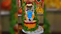 PHOTOS: मीरगंज में महादेव का दिव्य श्रृंगार, कहीं फूल-फलों से सजे भोलेनाथ तो कहीं ड्राई फ्रूट्स से हुआ अभिषेक, देखें तस्वीरेें