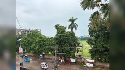तेज हवा और बारिश ने बदला भागलपुर का मौसम, गर्मी से मिली राहत : धान की फसल को फायदा