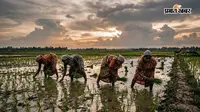 बांका में 19 अगस्त तक बारिश के आसार, आसमान में छाये रहेंगे बादल, धान रोपनी में आयी तेजी, तापमान रहेगा स्थिर