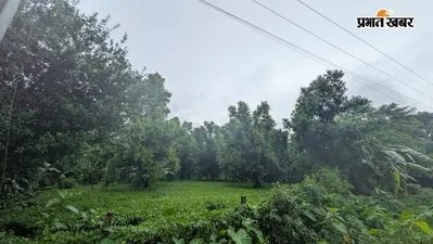 बादलों की चादर में लिपटा किशनगंज, सुबह 27 डिग्री तापमान : बारिश के आसार