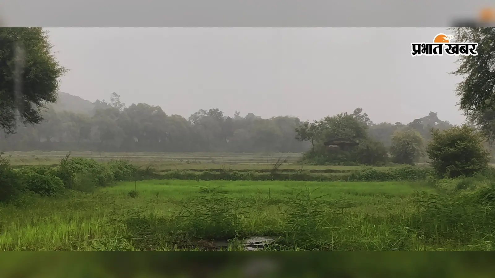 मौसम के बदले मिजाज से पलामू के किसानों के मुरझाये चेहरे पर लौटी मुस्कान