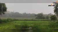 मौसम के बदले मिजाज से पलामू के किसानों के मुरझाये चेहरे पर लौटी मुस्कान