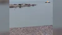 गंगा-कोसी के जलस्तर में उतार-चढ़ाव, तटबंधों पर बढ़ी निगरानी