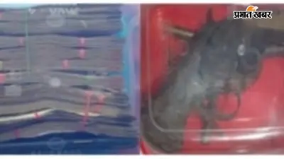 पटना में STF और पुलिस की कार्रवाई, वारदात की साजिश रच रहे 4 अपराधी गिरफ्तार