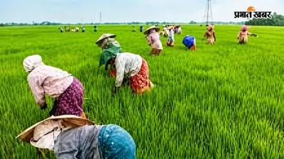 यूपी के किसानों और छोटे कारोबारियों को फायदा ही फायदा, प्रदेश के सभी 75 जिलों के उत्पाद चिन्हित