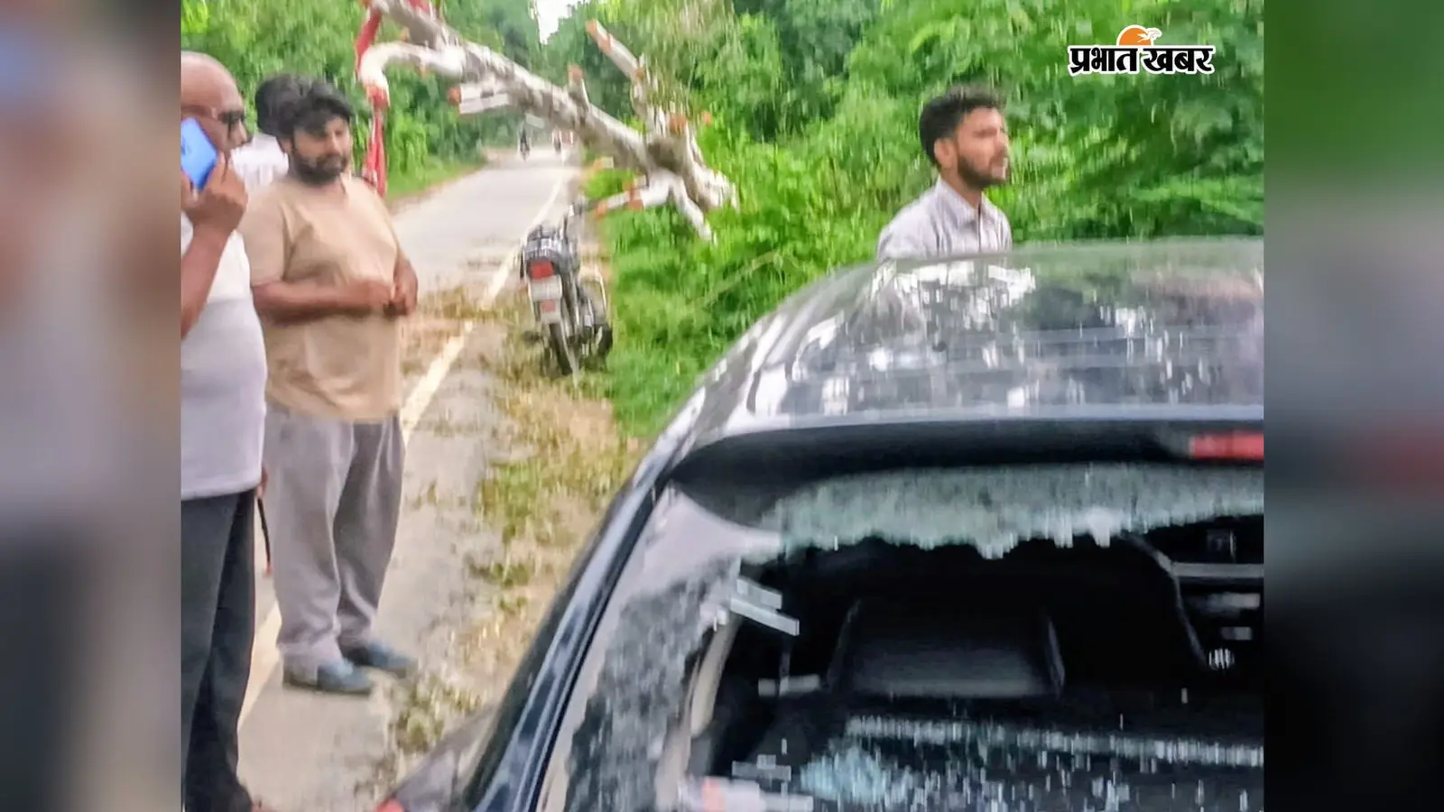 सीवान में सड़क पर अचानक गिरा यूकेलिप्टस का पेड़, तेज रफ्तार कार टकराई, एयरबैग ने बचाई दो की जान