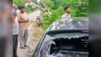 सीवान में सड़क पर अचानक गिरा यूकेलिप्टस का पेड़, तेज रफ्तार कार टकराई, एयरबैग ने बचाई दो की जान