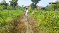 औरंगाबाद के ओबरा में 11 हजार वोल्ट के तार समेत तीन बिजली पोल गिरे, आठ गांवों में बिजली आपूर्ति ठप
