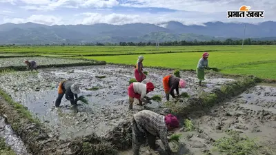 राष्ट्रीय खाद्य सुरक्षा मिशन: खेती के खर्च में मिलेगी सरकारी मदद! बीज से लेकर कृषि उपकरण तक फायदा, जानें कैसे मिलेगा लाभ