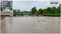 झारखंड में मूसलाधार बारिश से हाहाकार: कहीं नदियां उफान पर तो कहीं ढह गए मिट्टी के घर, डैम लबालब