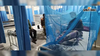 गया जी में डेंगू के 3 मरीज मिले, तीनों की ट्रैवल हिस्ट्री बाहर की; स्वास्थ्य विभाग करा रहा फॉगिंग