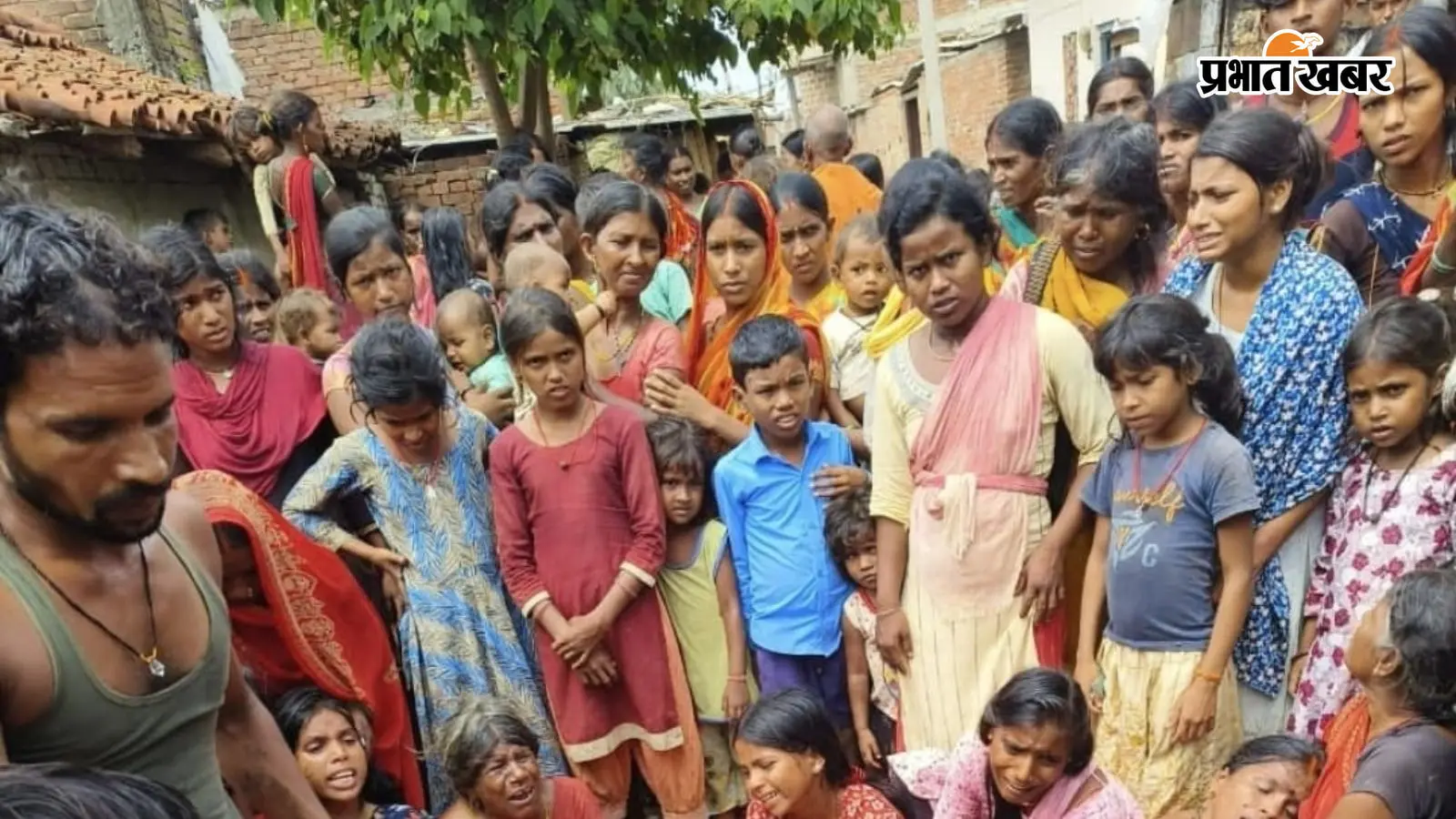 पटना : पेड़ पर चढ़कर लकड़ी काटने के दौरान संतुलन बिगड़ने से गिरा युवक, मौत