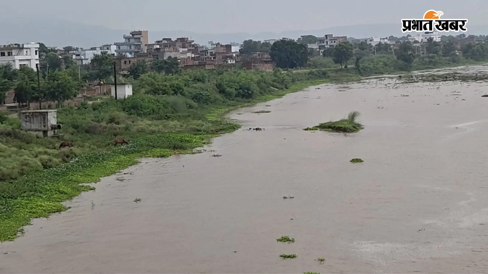 जहानाबाद : रतनी में मोरहर नदी से 76 वर्षीय महिला का शव बरामद, एक सप्ताह से थी लापता