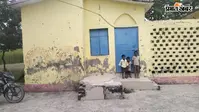 जहां इलाज मिलना था, वहां लटका है ताला, बोची के उपस्वास्थ्य केंद्र की खुली पोल