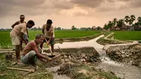 बारिश का पानी अब नहीं जाएगा बेकार, मुजफ्फरपुर में बनेंगे चेक डैम, खेतों को मिलेगा पानी