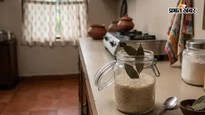 बारिश में चावल को ऐसे रखें सुरक्षित, नहीं लगेंगे कीड़े