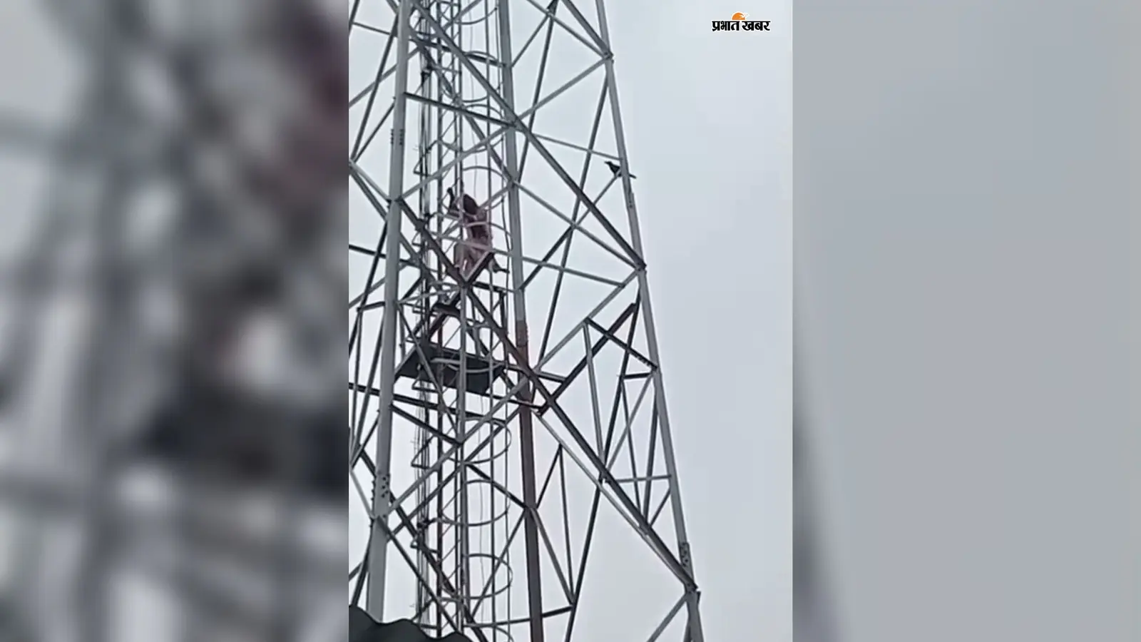 शादी कहीं और तय हुई तो मोबाइल टावर पर चढ़ी युवती, 2 घंटे तक हाई-वोल्टेज ड्रामा