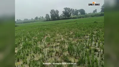 बगोदर वन क्षेत्र में हाथियों का उत्पात जारी, तीन दिनों से अटका में डटा 22 हाथियों का झुंड