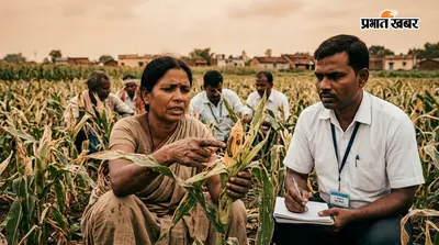 धनबाद में मक्के की फसल पर फॉल आर्मी वर्म का प्रकोप, कृषि विभाग ने जारी की एडवाइजरी