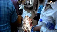 मां के अंतिम संस्कार के लिए भटकता रहा परिवार, पैसे मांगने का आरोप, जगह नहीं मिली तो गली में दफनाया शव